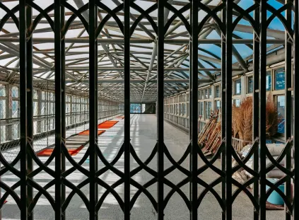 Paripesa Casino Farsímaforrit